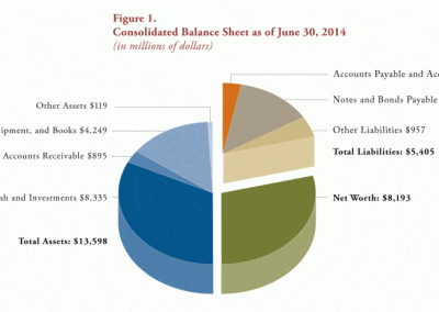 Figure 1: Consolidated Balance Sheet as of June 30, 2014