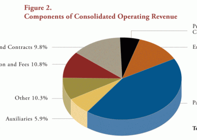 Figure 2: Components of Consolidated Operating Revenue